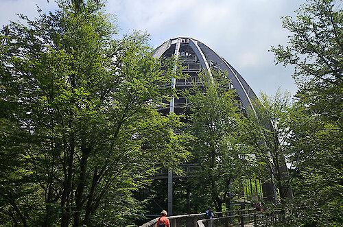 Baumwipfelpfad Baum-Ei Neuschönau